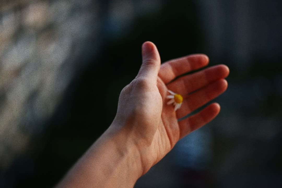 辛芷蕾飞升：威尼斯影后开启新时代